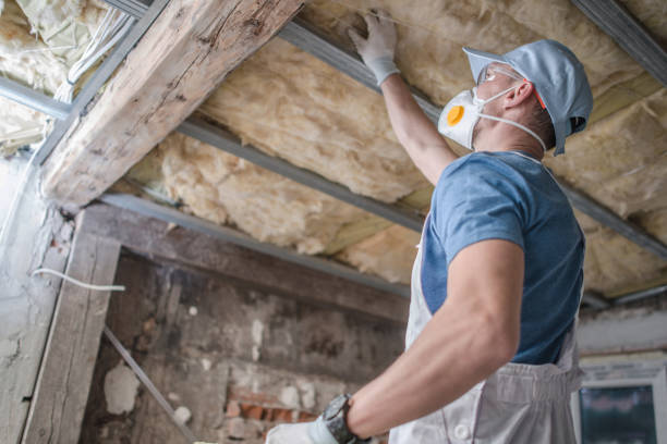 Best Insulation for New Construction  in Eden, NC