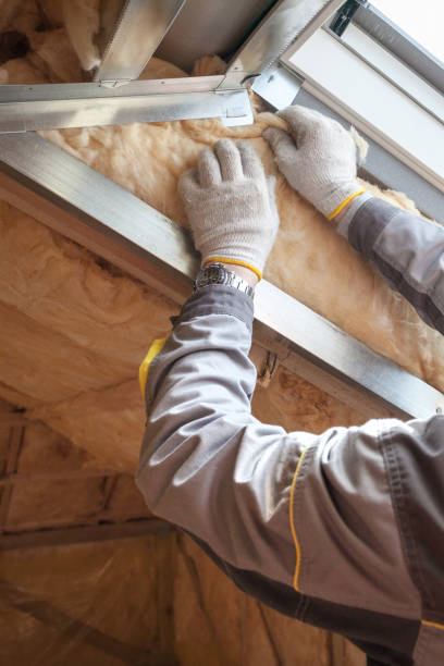 Best Energy-efficient Insulation  in Eden, NC