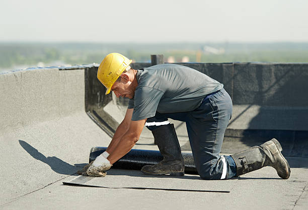 Best Local Insulation Services  in Eden, NC