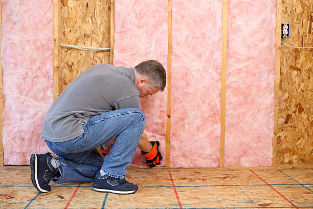Best Best Insulation Companies  in Eden, NC