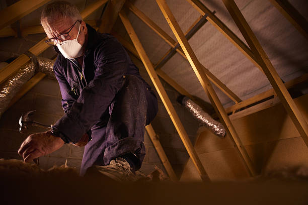 Best Attic Insulation Near Me  in Eden, NC